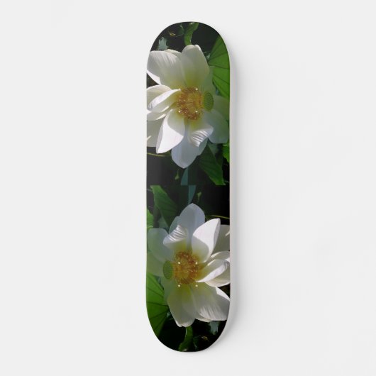 Skateboard avec délicat blanc Lotus Flower (Recto)