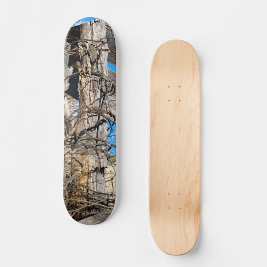 Skateboard avec Gnarly Rousty Barbed Design (Recto)
