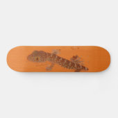 Skateboard Baby Tokay Gecko (Horz)