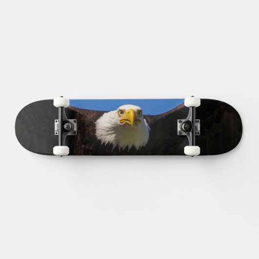 Skateboard Bald Eagle Flyby Up Close (Horz)