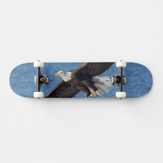 Skateboard Bald eagle in flight (Horz)