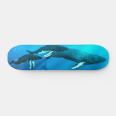 Skateboard Baleines de bosse (Horz)