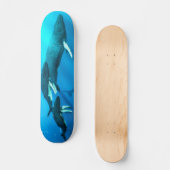 Skateboard Baleines de bosse (Recto)