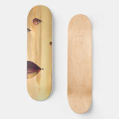 Skateboard Ballons à air chauds (Recto)