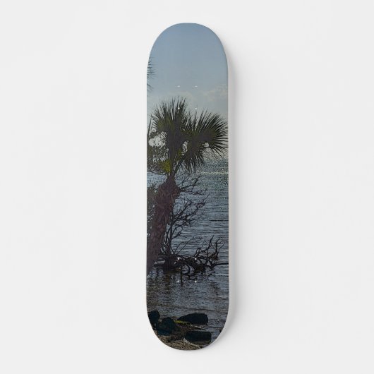 Skateboard Banana River Palm Trees Painterly (Devant)