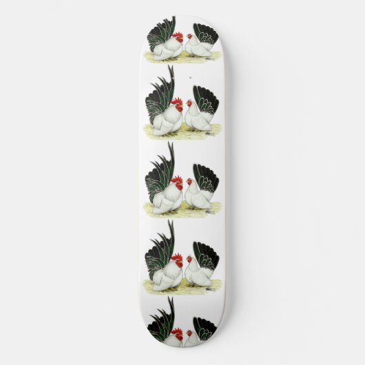 Skateboard Bantams japonais Blacktail (Recto)
