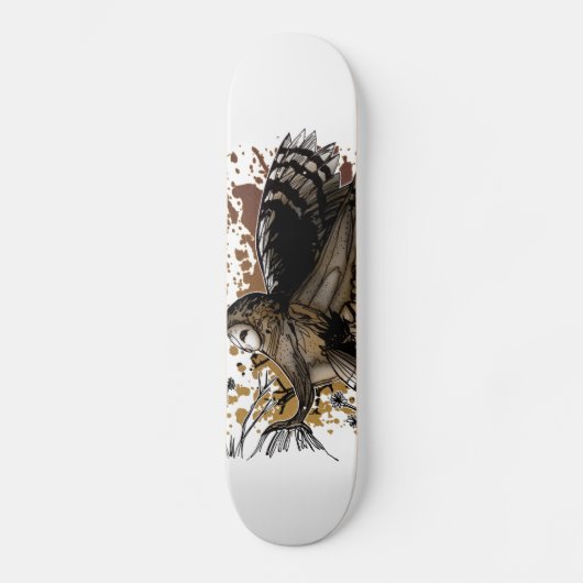 Skateboard Barn Owl Stance (Recto)