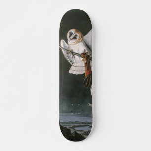 Skateboard Barn Owls, Birds of America John James Audubon