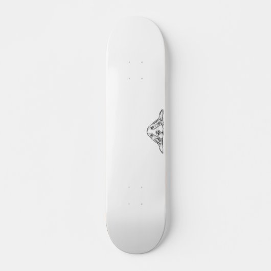 Skateboard basset blanc (Devant)