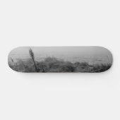 Skateboard Beach path (Horz)