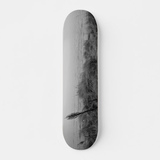 Skateboard Beach path (Devant)