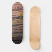 Skateboard beau bois ancien (Recto)