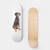 Skateboard beau pinscher de dobermann (Recto)