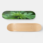 Skateboard Beau Plante de mauvaises herbes (Horz)