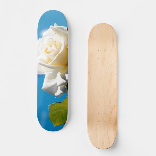 Skateboard Beauté de Rose blanche (Recto)