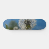 Skateboard Beauté D'Un Dandelion (Horz)