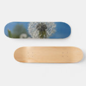 Skateboard Beauté D'Un Dandelion (Horz)