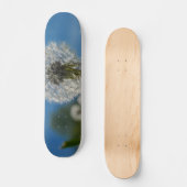Skateboard Beauté D'Un Dandelion (Recto)