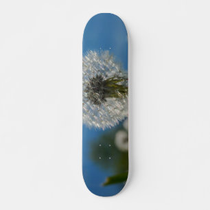 Skateboard Beauté D'Un Dandelion