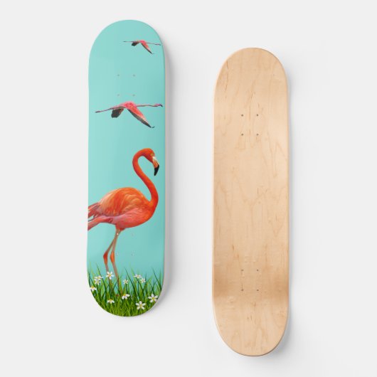 Skateboard Beaux Flamants roses sur bleu turquoise clair (Recto)