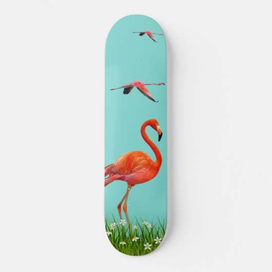 Skateboard Beaux flamants sur fond bleu turquoise clair (Recto)