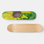 Skateboard Bee et Black Eyed Susan (Horz)