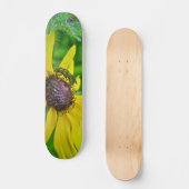 Skateboard Bee et Black Eyed Susan (Recto)