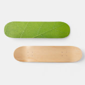 Skateboard Belle feuille verte (Horz)