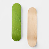 Skateboard Belle feuille verte (Recto)