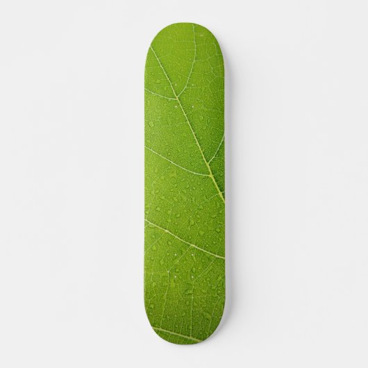 Skateboard Belle feuille verte (Devant)