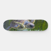 Skateboard Belle natation de tortue marine (Horz)