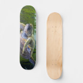 Skateboard Belle natation de tortue marine (Recto)