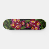 Skateboard Belle orchidée, hybride de miltonia (Horz)