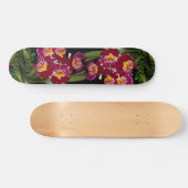 Skateboard Belle orchidée, hybride de miltonia (Horz)