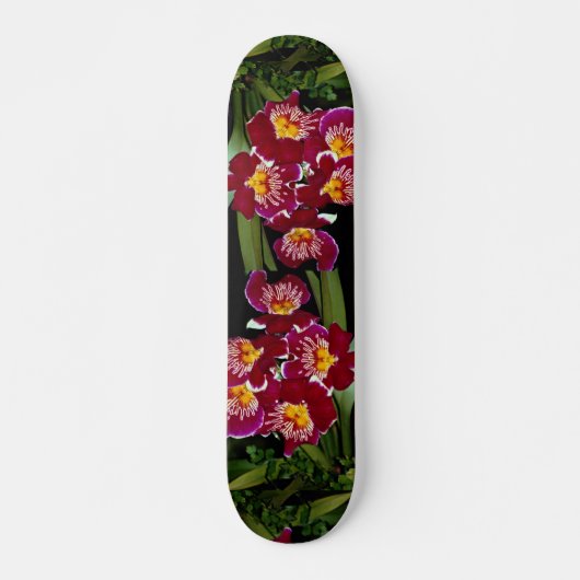 Skateboard Belle orchidée, hybride de miltonia (Devant)
