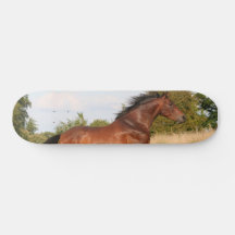 Belle planche à roulettes