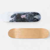 Skateboard Berger allemand noir dans la couverture de duvet d (Horz)