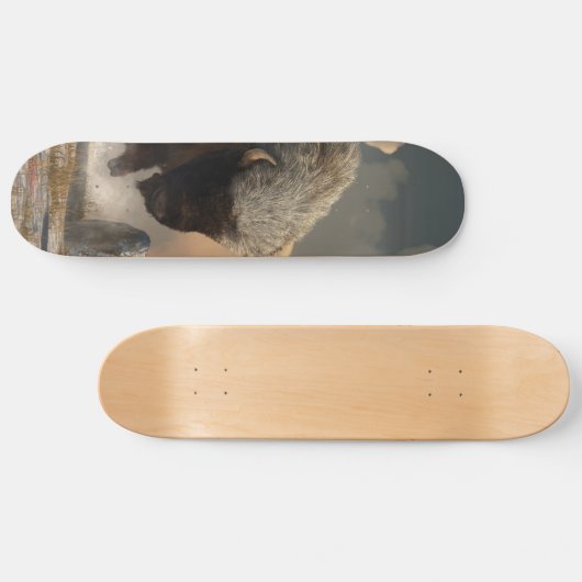 Skateboard Bison à moitié blanc (Horz)