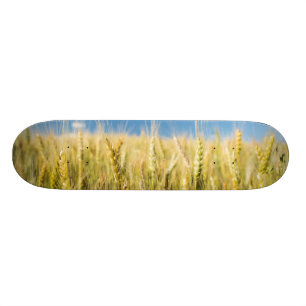 Skateboard Blé du Kansas