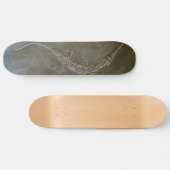 Skateboard Bollensis fossile de Steneosaurus de crocodile (Horz)