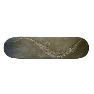 Skateboard Bollensis fossile de Steneosaurus de crocodile