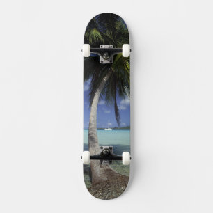 Skateboard Bora Bora, Polynésie française Mt. Otemanu vu