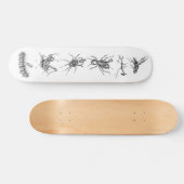 Skateboard Bots montant le collage d'insectes (Horz)