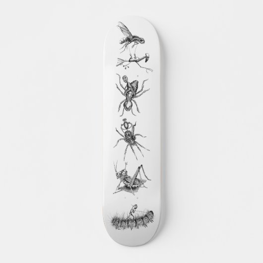 Skateboard Bots montant le collage d'insectes (Devant)