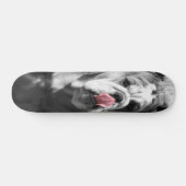 Skateboard bouledogue anglais (Horz)