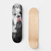 Skateboard bouledogue anglais (Recto)