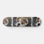 Skateboard Bouledogue Endormi (Horz)