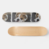 Skateboard Bouledogue Endormi (Horz)