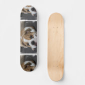 Skateboard Bouledogue Endormi (Recto)