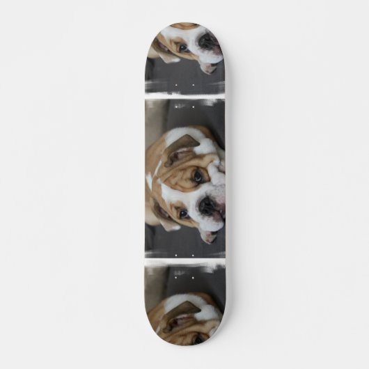 Skateboard Bouledogue Endormi (Devant)